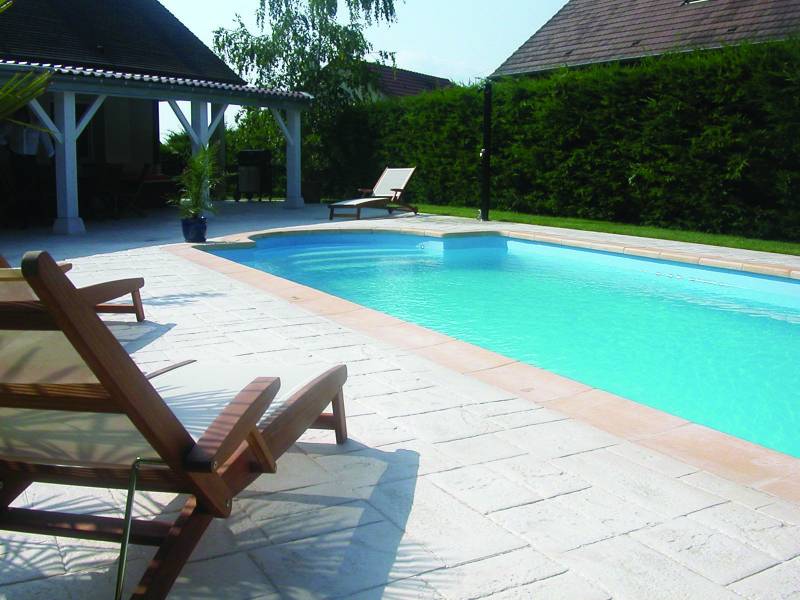 La piscine rectangle avec une courbe à PERTUIS 84120